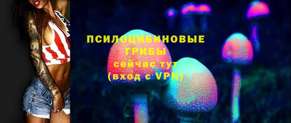 дживик Сатка