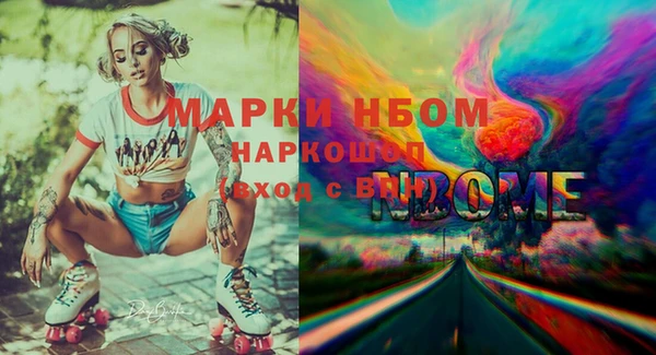 гидра Коряжма