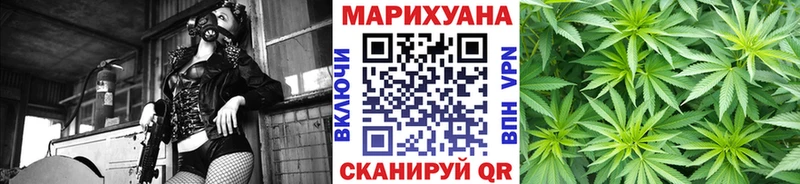 Канабис OG Kush Котово